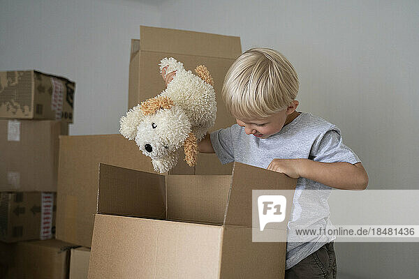 Box packing stuffed toy inside cardboard box