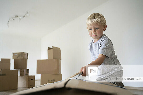 Boy opening cardboard box at new home