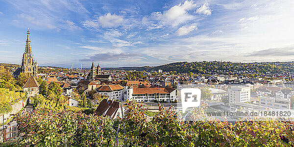 Germany  Baden-Wurttemberg  Esslingen  Panoramic view of town in autumn with vineyard in foreground