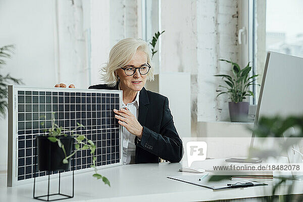 Businesswoman discussing over solar panel on video call