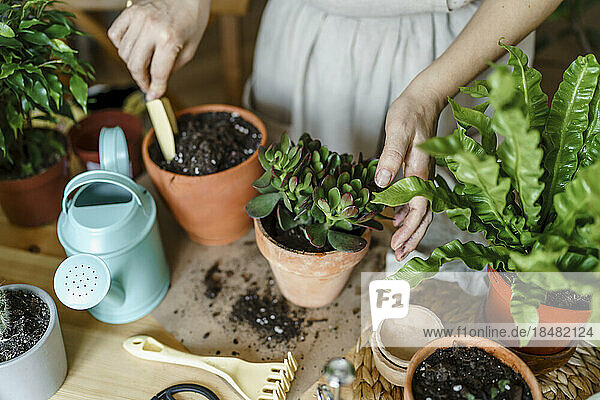 Woman using gardening trowel and planting in pot at home