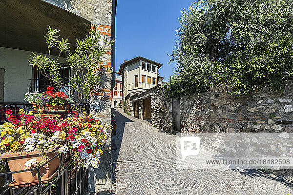 Italy  Lombardy  Sirmione  Paved town alley in summer with blooming flowers in foreground