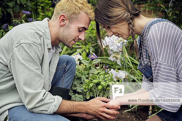Paar betrachtet Pflanze im Hinterhof