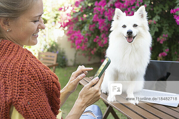 Happy woman using smart phone with dog sitting on table in garden