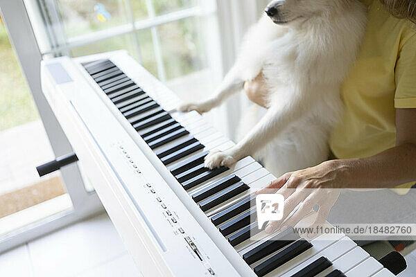 Frau mit Hund spielt zu Hause Klavier