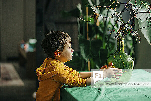 Thoughtful boy touching vase at home