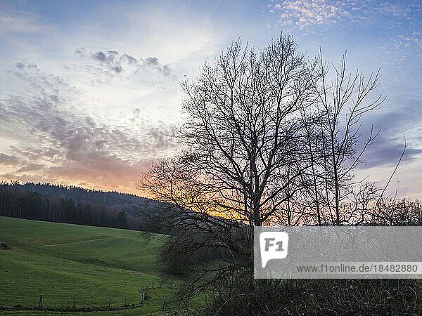 Germany  Bavaria  Rural landscape in Upper Palatinate at autumn dusk