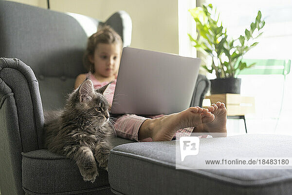 Mädchen benutzt Laptop und sitzt zu Hause mit Katze im Sessel
