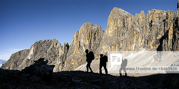 Silhouette friends hiking on sunny day at Pala di San Martino mountain  Dolomites  Italy