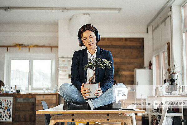 Young businesswoman with potted plant sitting on desk