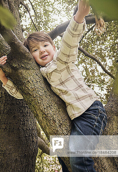 Smiling boy sitting on tree at park