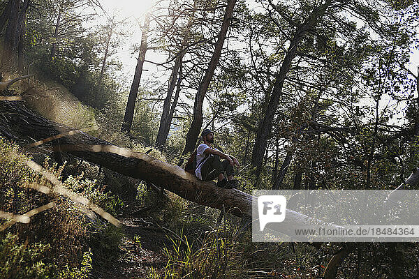 Hiker sitting on fallen tree in forest