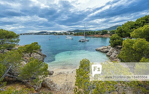 Kleine Bucht mit Sandstrand und blauem Meer  Segeljachten in der Bucht  Cala Punta Negra  Badia de Palma  Mallorca  Balearen  Spanien  Europa
