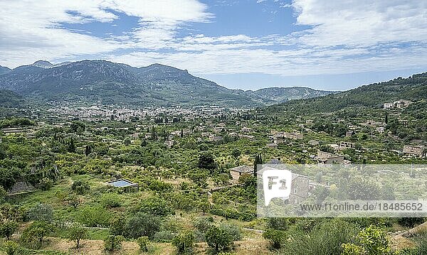 Ausblick auf Olivenhaine und Fincas  hinten Ort Soller  Wanderweg von Soller nach Fornalutx  Serra de Tramuntana  Mallorca  Balearen  Spanien  Europa