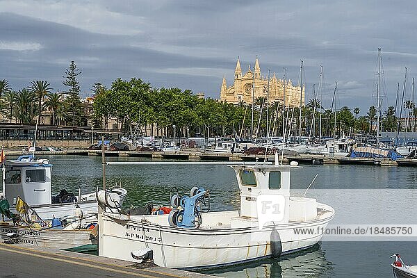 Fischerboote und Segelboote im Hafen von Palma de Mallorca  hinten Kathedrale von Palma  Palma de Mallorca  Mallorca  Balearen  Spanien  Europa