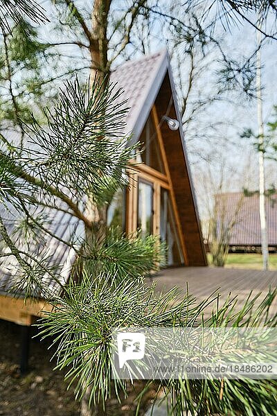 Selektiver Fokus Foto von unscharfen A Rahmen Holzhütte mit einer Kiefer im Vordergrund