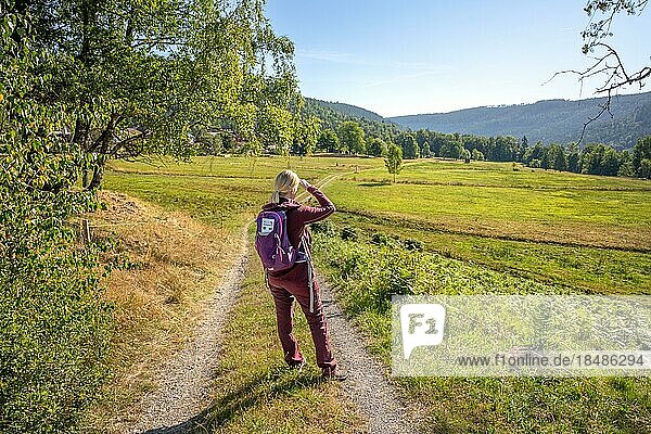 Woman Hiking the Sprollenhäuser Hut with Backpack  Bad Wildbad  Black Forest  Germany  Europe