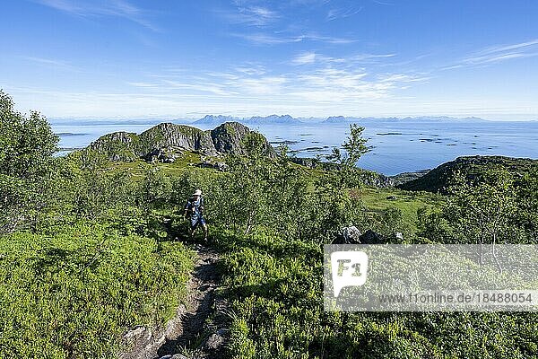 Hikers on trail to Dronningsvarden or Stortinden  view of sea  Vesterålen  Norway  Europe