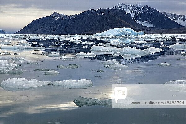 Eisscholle und schwimmender Eisberg im Lilliehookfjorden  Svalbard  Spitzbergen  Norwegen  Europa