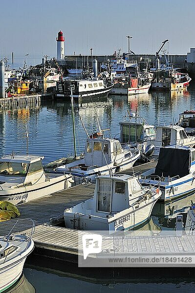 Fishing boats in the harbour at La Cotinière on the island Ile dOléron  Charente-Maritime  France  Europe