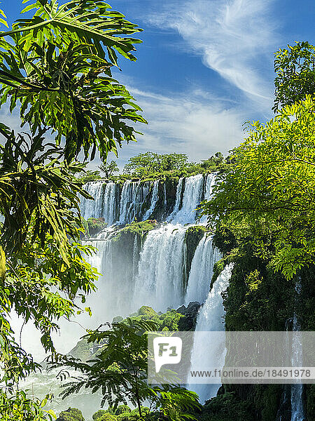 Ein Blick vom unteren Kreislauf der Iguazu-Wasserfälle  UNESCO-Weltkulturerbe  Provinz Misiones  Argentinien  Südamerika