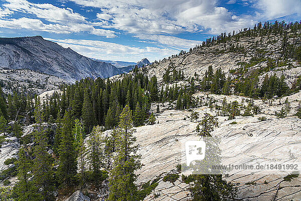 Olmsted Point mit Fernsicht auf die Felsformation Half Dome  Yosemite-Nationalpark  UNESCO-Welterbe  Kalifornien  Vereinigte Staaten von Amerika  Nordamerika
