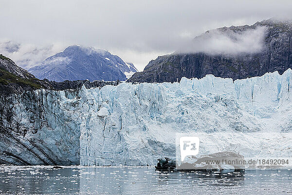 Ein Blick auf den Margerie-Gletscher in der Fairweather Range  Glacier Bay National Park  Südost-Alaska  Vereinigte Staaten von Amerika  Nordamerika