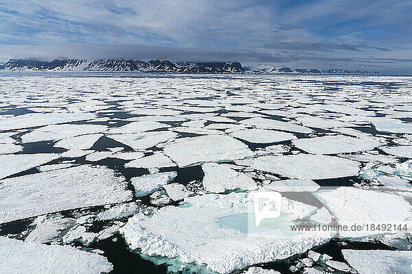 Spitzbergen  Svalbard Inseln  Arktis  Norwegen  Europa