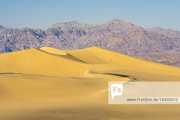 Mesquite Flat Sanddünen und felsige Berge in der Wüste  Death Valley National Park  Kalifornien  Vereinigte Staaten von Amerika  Nordamerika
