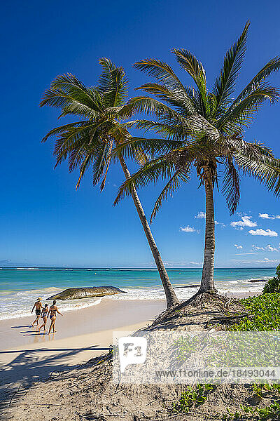 Blick auf Palmen und Meer am Bavaro Beach  Punta Cana  Dominikanische Republik  Westindien  Karibik  Mittelamerika