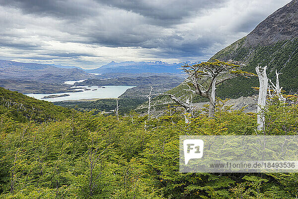 Aussichtspunkt French Valley  Nationalpark Torres del Paine  Patagonien  Chile  Südamerika