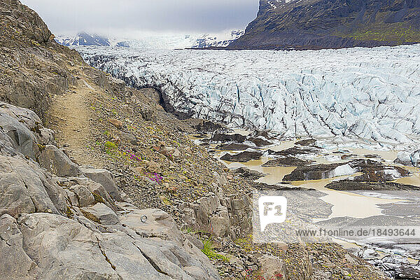 Svinafellsjokull-Gletscher  Skaftafell-Nationalpark  Island  Polarregionen