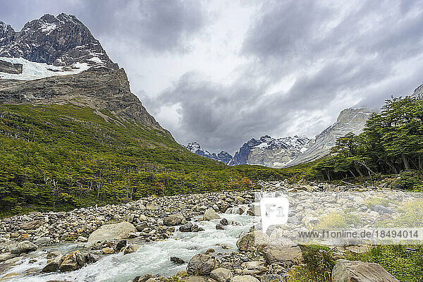 River flowing by Paine Grande mountain in French Valley  Torres del Paine National Park  Patagonia  Chile  South America