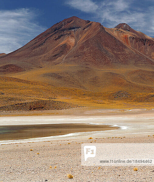 Hochebene der Atacama-Wüste  Chile  Südamerika
