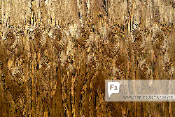 Close up of the wood grain and knots in plywood used for construction.