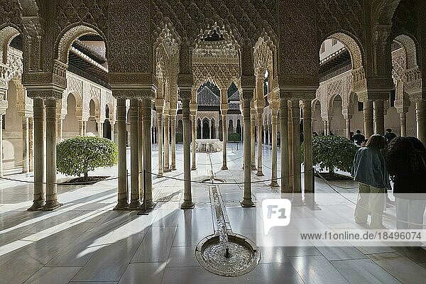 Patio in the Alhambra  Granada  Andalusia  Spain  Europe