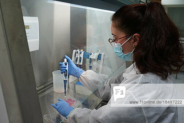 Research on chronic bacterial infections within Inserm. PhD student working on brucellosis bacteria.