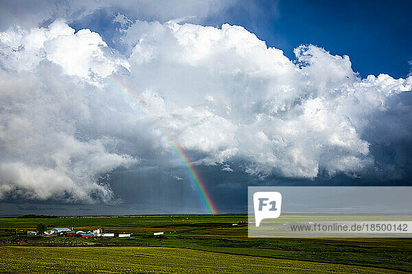 Rainbow and white heavy clouds over farm and green fields