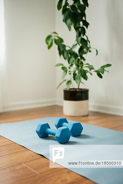 In Home Workout Space with Dumbbells Near Plant on Yoga Mat