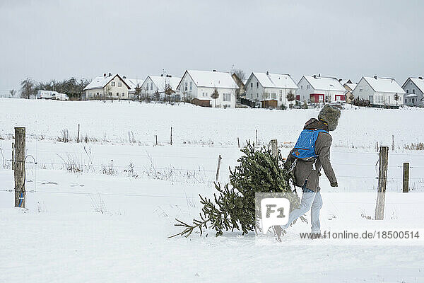 Young man carrying Christmas tree in snowy landscape and village in the background  Bavaria  Germany