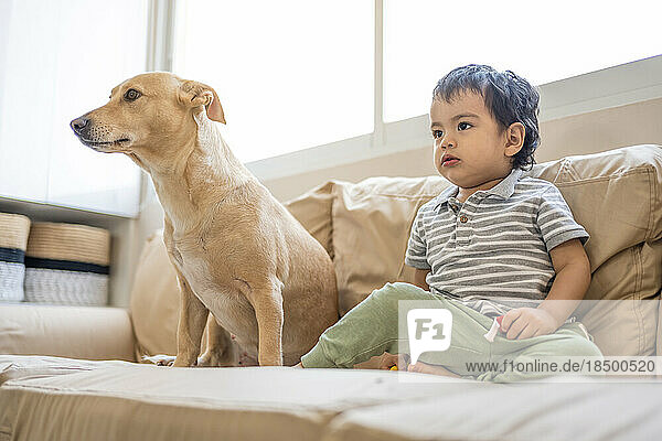 Latin boy playing with his mixed breed puppy in his living room