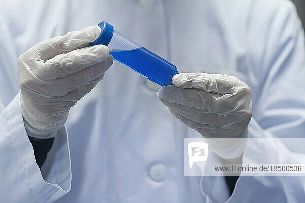 Mid section of a female scientist examining test tube in a laboratory  Freiburg im Breisgau  Baden-Württemberg  Germany