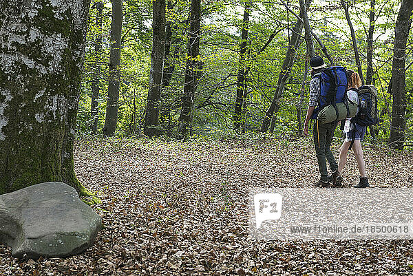 Rear view of young couple hiking with backpack in a forest  Bavaria  Germany