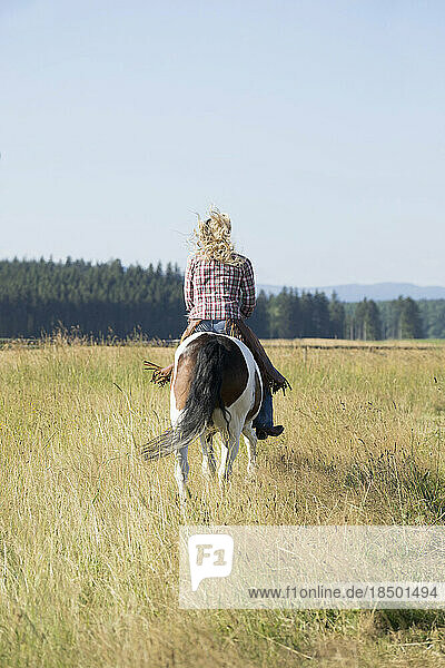 Rear view of a mid adult woman riding a horse in farm  Bavaria  Germany