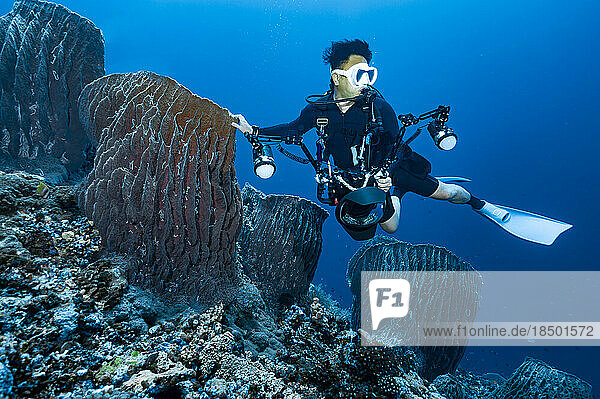 underwater photographer exploring a coral reef at Banda Sea