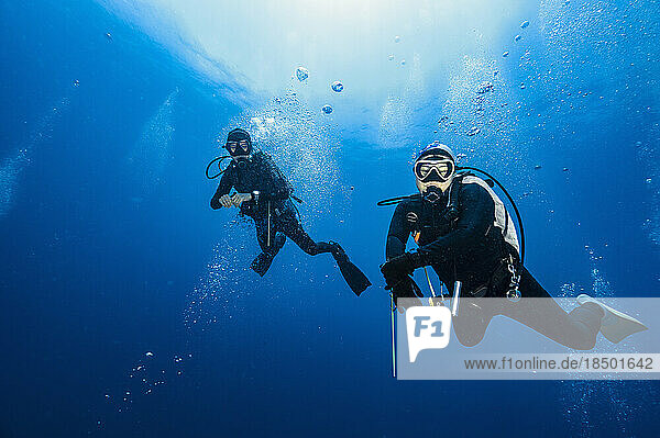 diving buddies floating in the clear water of the Gulf of Thailand
