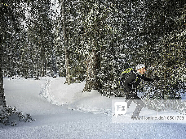 Man hiking with snowshoes in the Black forest  Baden-Württemberg  Germany