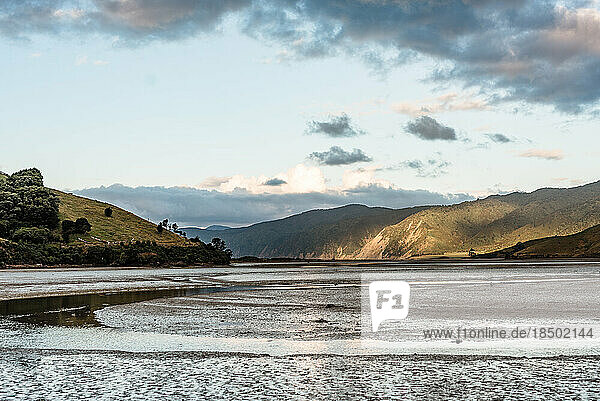 View of an estuary in New Zealand at low tide