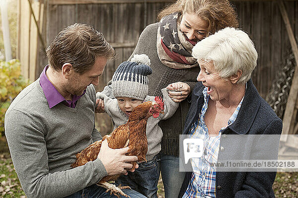 Family with chickens bird sitting in poultry farm  Bavaria  Germany