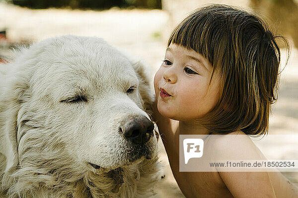 Sweet Toddler affectionately kisses old white dog